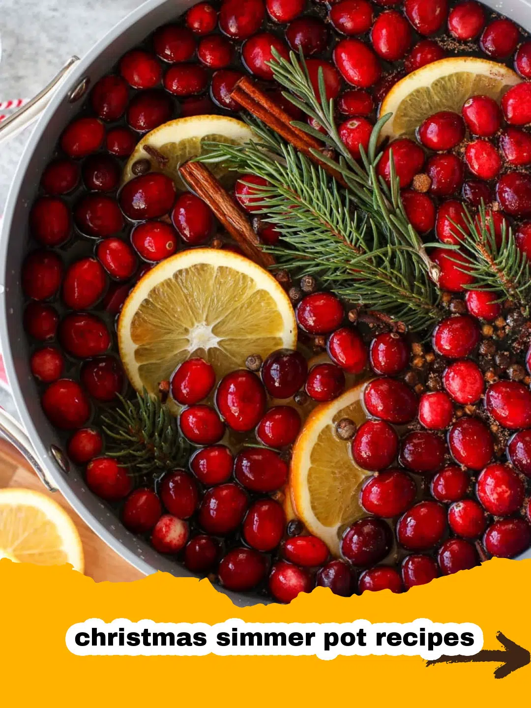 Classic Christmas Simmer Pot Preparation