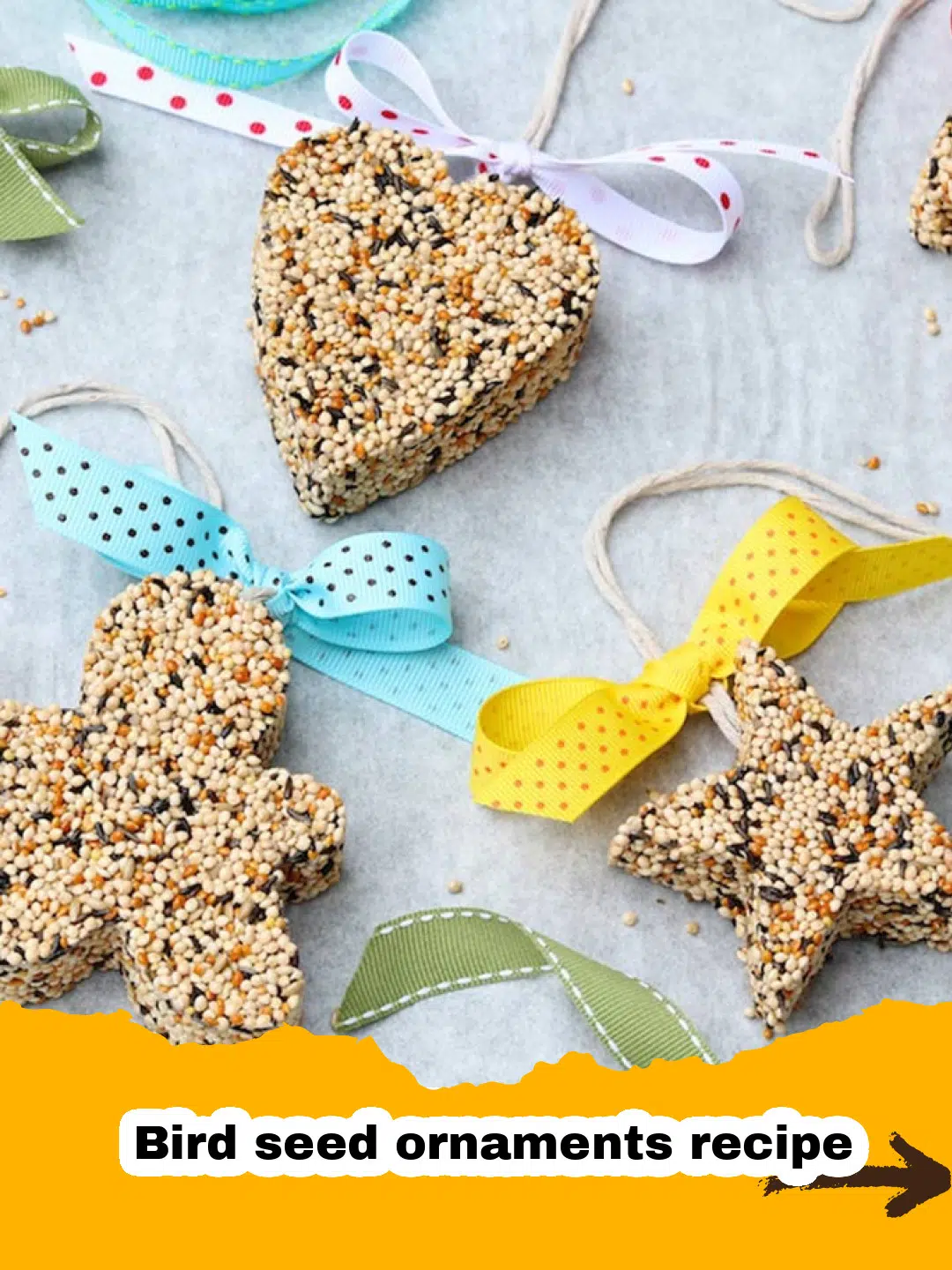 Homemade Bird Seed Ornaments Preparation
