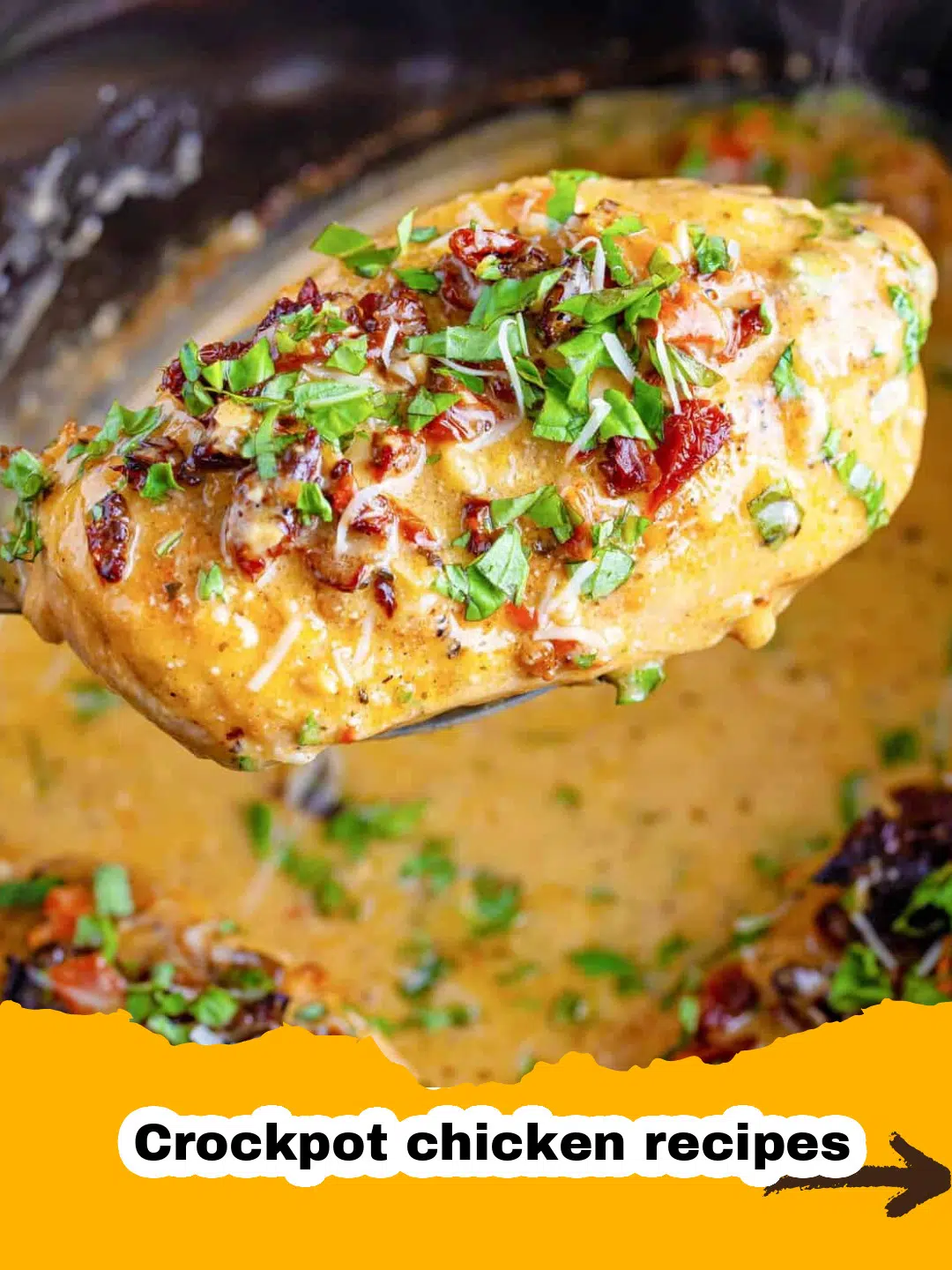 Slow Cooker Honey Garlic Chicken Preparation